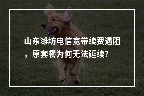 山东潍坊电信宽带续费遇阻，原套餐为何无法延续？