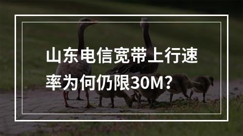 山东电信宽带上行速率为何仍限30M？
