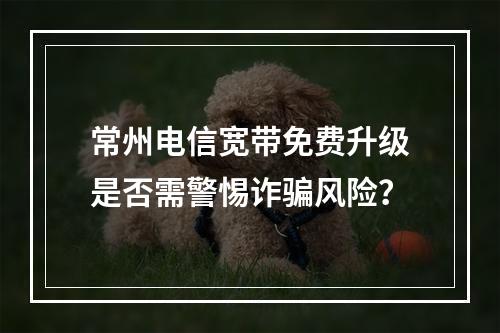常州电信宽带免费升级是否需警惕诈骗风险？
