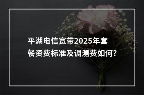 平湖电信宽带2025年套餐资费标准及调测费如何？