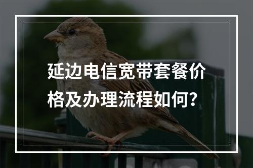 延边电信宽带套餐价格及办理流程如何？