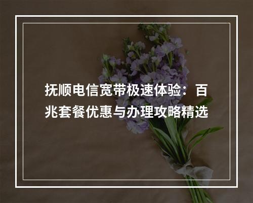 抚顺电信宽带极速体验：百兆套餐优惠与办理攻略精选