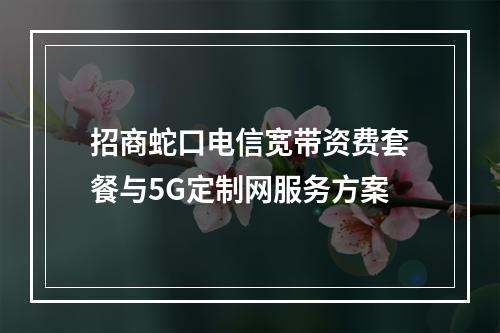 招商蛇口电信宽带资费套餐与5G定制网服务方案