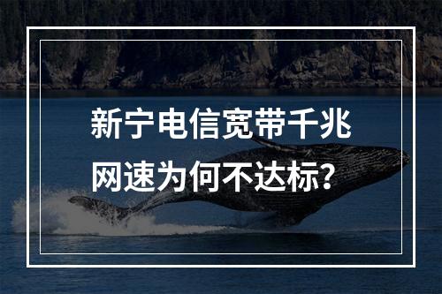 新宁电信宽带千兆网速为何不达标？