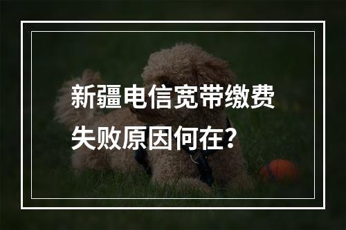 新疆电信宽带缴费失败原因何在？