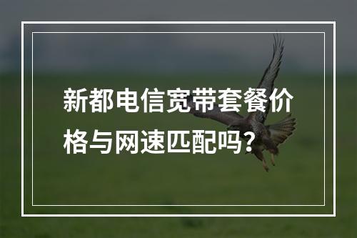 新都电信宽带套餐价格与网速匹配吗？