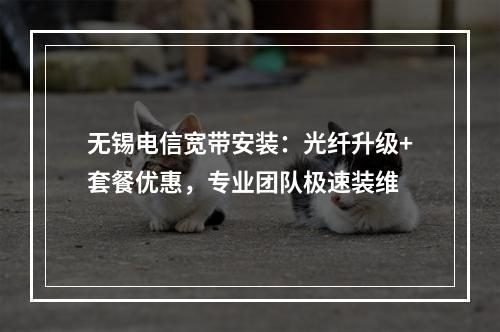 无锡电信宽带安装：光纤升级+套餐优惠，专业团队极速装维