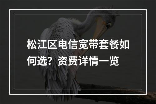 松江区电信宽带套餐如何选？资费详情一览