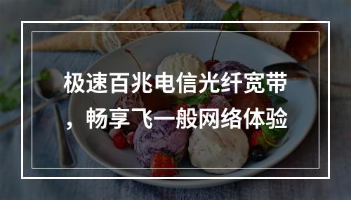 极速百兆电信光纤宽带，畅享飞一般网络体验