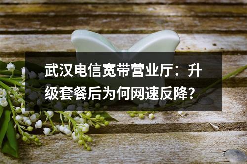 武汉电信宽带营业厅：升级套餐后为何网速反降？
