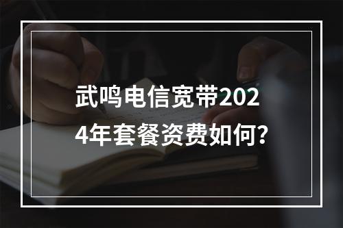 武鸣电信宽带2024年套餐资费如何？