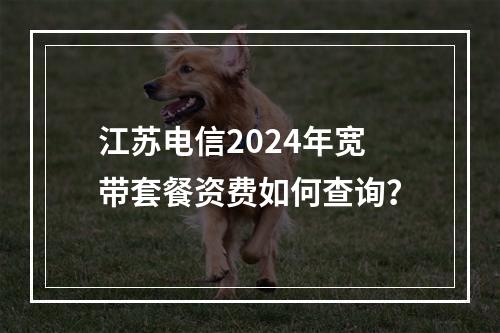 江苏电信2024年宽带套餐资费如何查询？