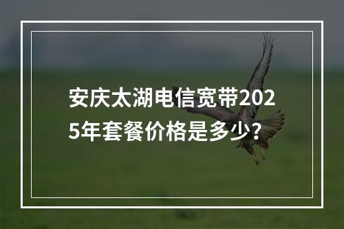 安庆太湖电信宽带2025年套餐价格是多少？