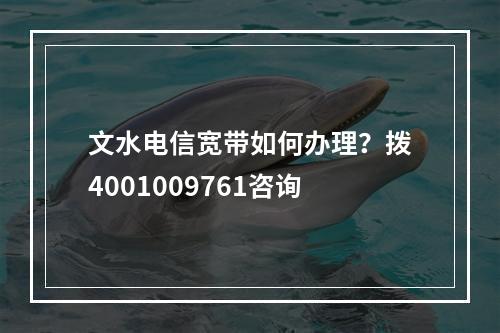 文水电信宽带如何办理？拨4001009761咨询