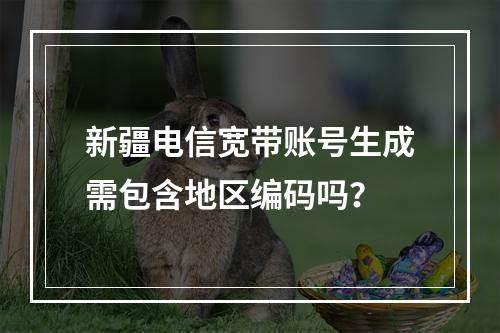 新疆电信宽带账号生成需包含地区编码吗？