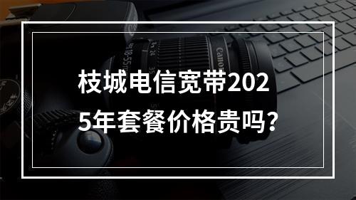 枝城电信宽带2025年套餐价格贵吗？