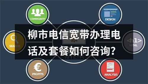 柳市电信宽带办理电话及套餐如何咨询？