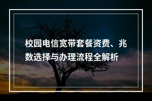 校园电信宽带套餐资费、兆数选择与办理流程全解析