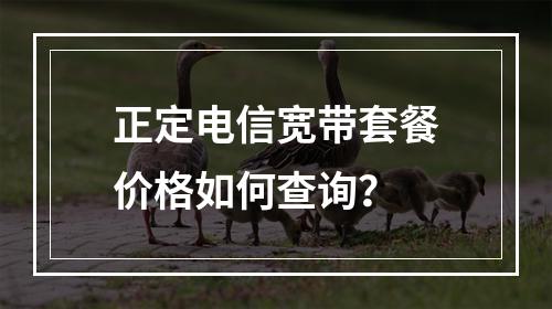 正定电信宽带套餐价格如何查询？