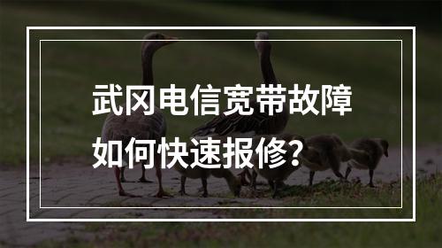 武冈电信宽带故障如何快速报修？