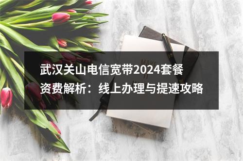 武汉关山电信宽带2024套餐资费解析：线上办理与提速攻略