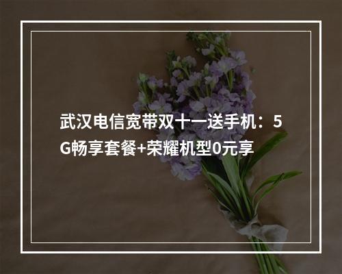 武汉电信宽带双十一送手机：5G畅享套餐+荣耀机型0元享