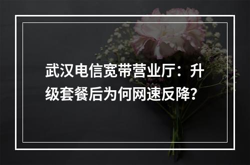 武汉电信宽带营业厅：升级套餐后为何网速反降？