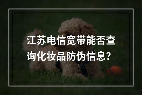 江苏电信宽带能否查询化妆品防伪信息？