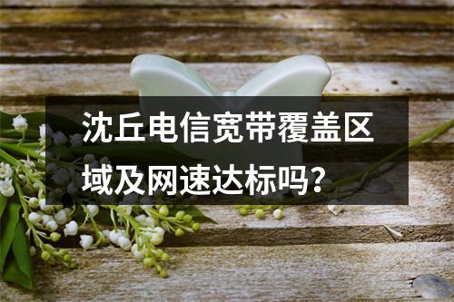 沈丘电信宽带覆盖区域及网速达标吗？