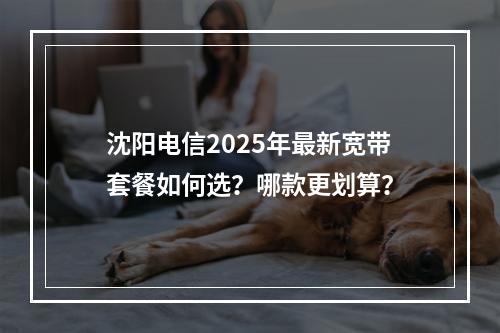 沈阳电信2025年最新宽带套餐如何选？哪款更划算？