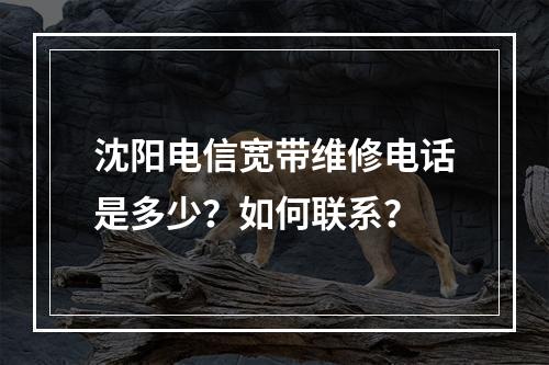 沈阳电信宽带维修电话是多少？如何联系？