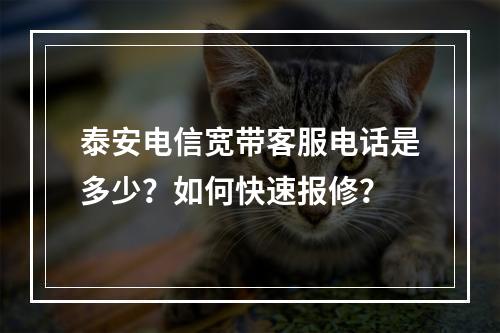 泰安电信宽带客服电话是多少？如何快速报修？