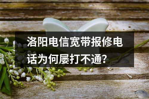 洛阳电信宽带报修电话为何屡打不通？