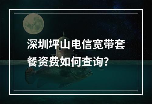 深圳坪山电信宽带套餐资费如何查询？
