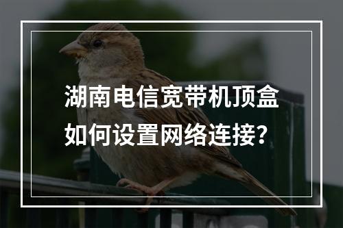 湖南电信宽带机顶盒如何设置网络连接？
