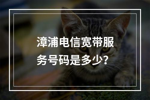 漳浦电信宽带服务号码是多少？