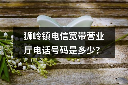 狮岭镇电信宽带营业厅电话号码是多少？