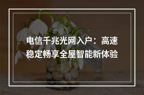 电信千兆光网入户：高速稳定畅享全屋智能新体验