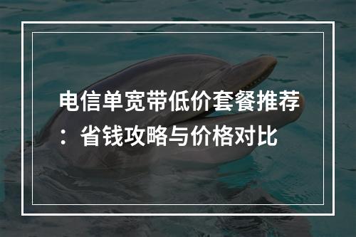 电信单宽带低价套餐推荐：省钱攻略与价格对比