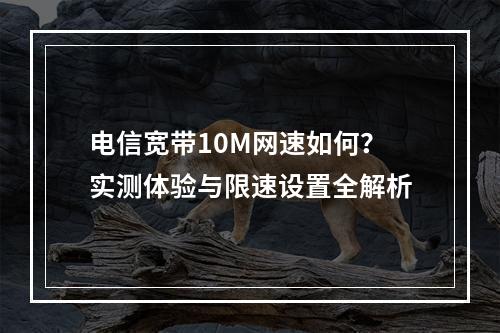 电信宽带10M网速如何？实测体验与限速设置全解析