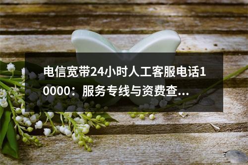 电信宽带24小时人工客服电话10000：服务专线与资费查询