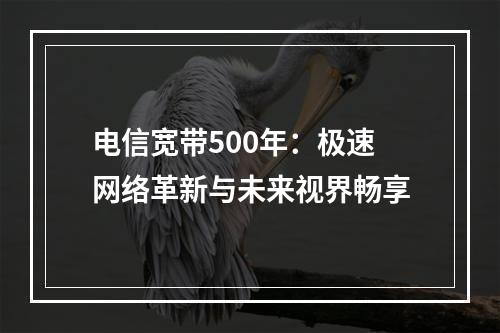 电信宽带500年：极速网络革新与未来视界畅享