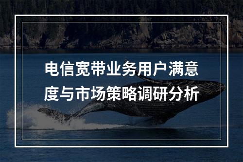 电信宽带业务用户满意度与市场策略调研分析