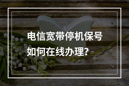 电信宽带停机保号如何在线办理？