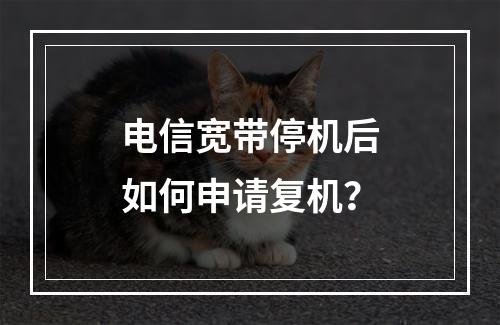 电信宽带停机后如何申请复机？