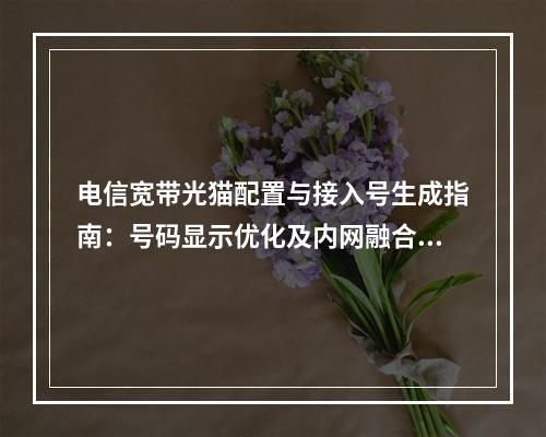 电信宽带光猫配置与接入号生成指南：号码显示优化及内网融合方案