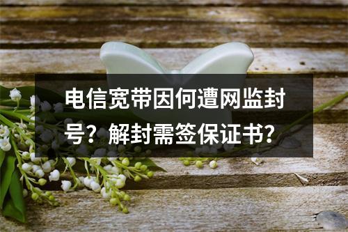 电信宽带因何遭网监封号？解封需签保证书？