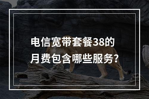 电信宽带套餐38的月费包含哪些服务？