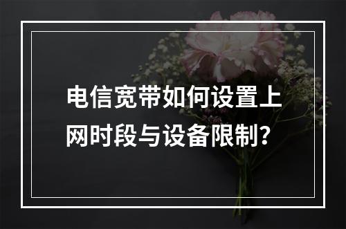 电信宽带如何设置上网时段与设备限制？