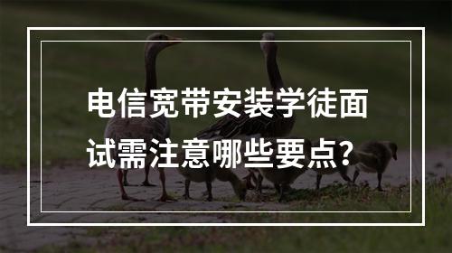 电信宽带安装学徒面试需注意哪些要点？